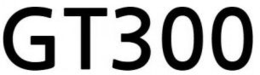 GT300 trademark