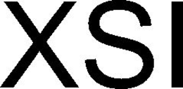 XSI trademark