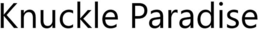 KNUCKLE PARADISE trademark