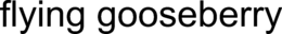 FLYING GOOSEBERRY trademark