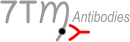 7TM ANTIBODIES trademark