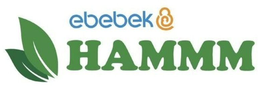 EBEBEK HAMMM trademark