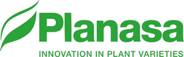 PLANASA INNOVATION IN PLANT VARIETIES trademark