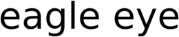 EAGLE EYE trademark