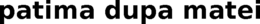PATIMA DUPA MATEI trademark