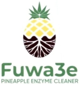 FUWA3E PINEAPPLE ENZYME CLEANER trademark
