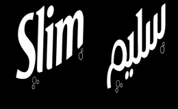 SLIM trademark
