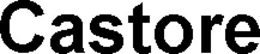 CASTORE trademark