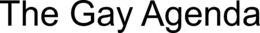 THE GAY AGENDA trademark