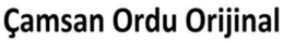 ÇAMSAN ORDU ORIJINAL trademark