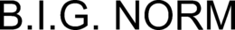 B.I.G. NORM trademark