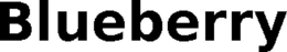 BLUEBERRY trademark