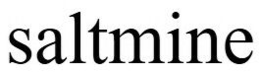 SALTMINE trademark