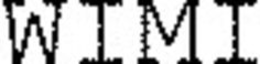 WIMI trademark
