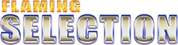 FLAMING SELECTION trademark