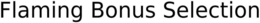 FLAMING BONUS SELECTION trademark