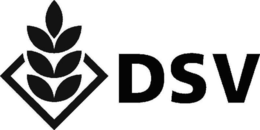 DSV trademark