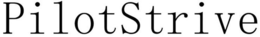 PILOTSTRIVE trademark
