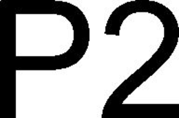 P2 trademark