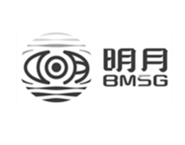 BMSG trademark
