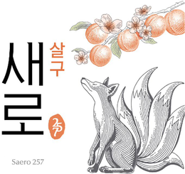 SAERO 257 trademark