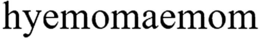 HYEMOMAEMOM trademark