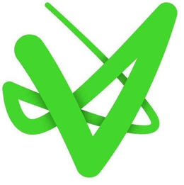 V trademark