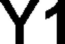Y1 trademark