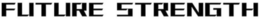 FUTURE STRENGTH trademark