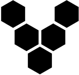 V trademark