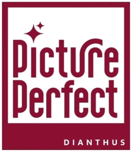 PICTURE PERFECT DIANTHUS trademark