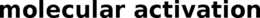 MOLECULAR ACTIVATION trademark