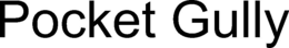 POCKET GULLY trademark