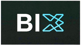 BI X trademark