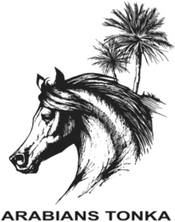 ARABIANS TONKA trademark