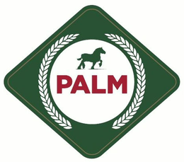 PALM trademark