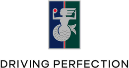 DRIVING PERFECTION trademark