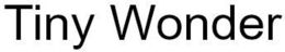 TINY WONDER trademark