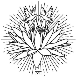 VI trademark