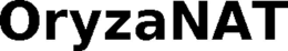 ORYZANAT trademark
