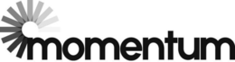 MOMENTUM trademark