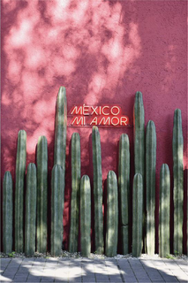 MÉXICO MI AMOR trademark