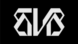 BVB trademark