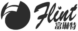 FLINT trademark
