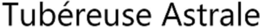 TUBéREUSE ASTRALE trademark