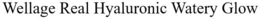 WELLAGE REAL HYALURONIC WATERY GLOW trademark