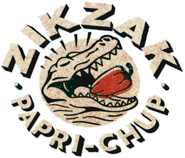 ZIKZAK PAPRI-CHUP trademark