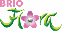BRIO FLORA trademark