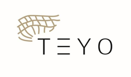 TEYO trademark