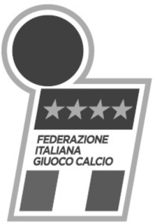 FEDERAZIONE ITALIANA GIUOCO CALCIO trademark